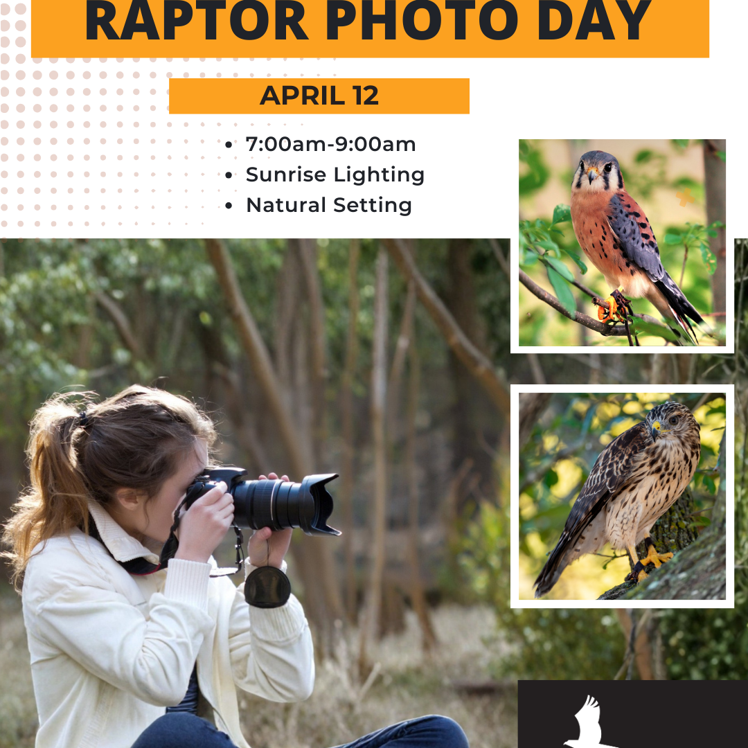 Photo Day - April 12 - logo